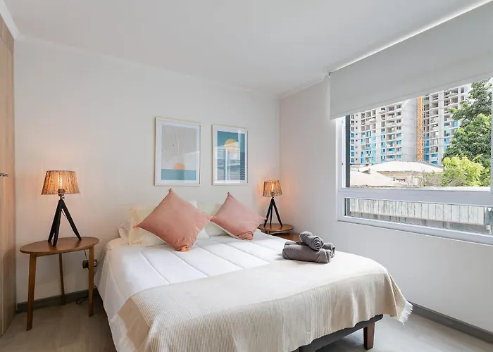Cozy Studio Santiago Centro 2 Guests